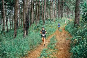 BIB: 
                            <button type="button" onclick="openModal(25700026)" class="btn btn-primary btn-sm float-right btn-popup" data-toggle="modal" data-target=".modal-high-quality">
                        <i class="fas fa-shopping-cart"></i> Add to Cart
                    </button>
                                            <button type="button" onclick="isThisMe(25700026, true)" class="btn btn-success btn-sm float-right btn-popup btn-isme hidden" data-toggle="tooltip" data-placement="bottom" title="นี่คือรูปของคุณใช่ไหม คลิกที่นี่เพื่อเอาเข้าอัลบั้ม">
                        <i class="fas fa-plus"></i> Add to album
                    </button>
                    <button type="button" onclick="isThisMe(25700026, false)" class="btn btn-warning btn-sm float-right btn-popup btn-isnotme hidden">
                        <i class="fas fa-ban"></i> Remove from album
                    </button>